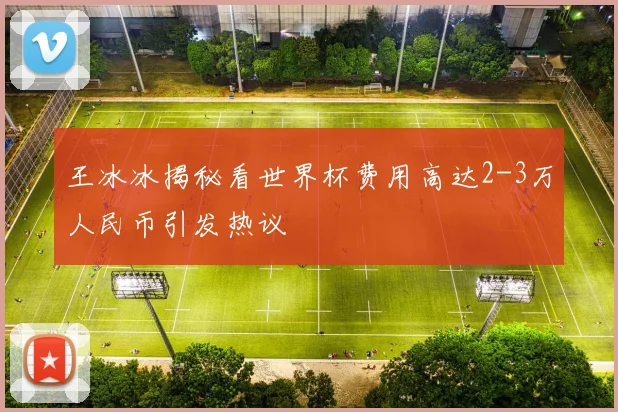 王冰冰揭秘看世界杯费用高达2-3万人民币引发热议