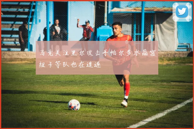 马竞关注里尔攻击手帕尔多水晶宫纽卡等队也在追逐